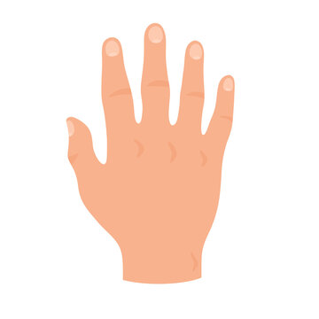 Flat Illustration Of The Hand