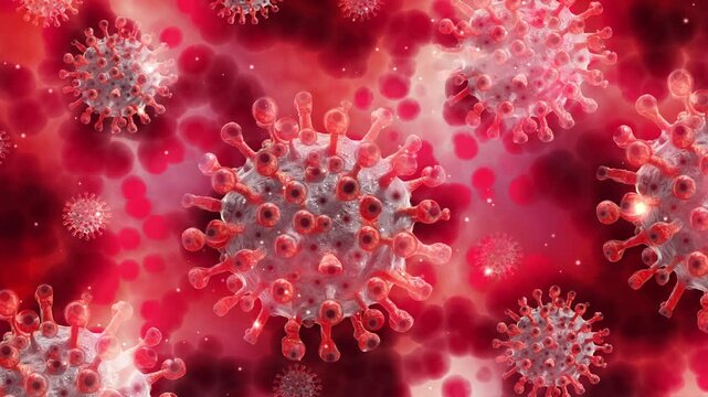 Dynamic motion of covid 19 virus cells under microscope in human blood stream highly detailed red background footage.