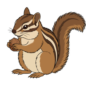 Cute chipmunk or squirrel holding a nut vector illustration in cartoon style
