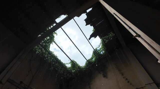 Slow pan reveals a jagged, broken ceiling in an abandoned paper mill facade in Kanchanaburi, Thailand. Natural light streams in as ivy and vines creep along the decayed structure.