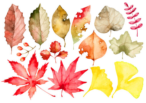 紅葉 落ち葉 秋　セット　水彩 イラスト