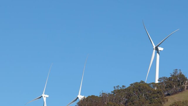 Wind Turbines Rotating on a Forested Hillside Under Clear Blue Sky
