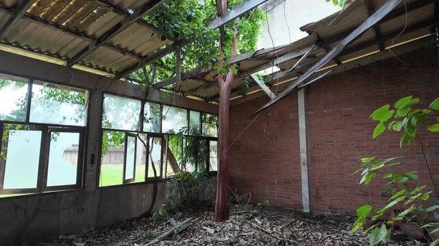 Wide shot of a deserted, decaying paper mill interior in Kanchanaburi, Thailand, with smashed windows, fallen debris, and lush plants invading the ruined structure through shattered roof.