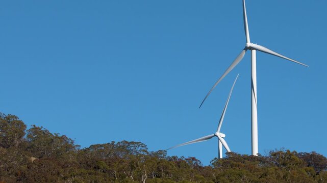 Wind Turbines Rotating on a Forested Hillside Under Clear Blue Sky