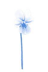 Naklejka premium Blue cyanotype halftone illustration of pansy flower. Grunge dotted aesthetic effect for y2k collage
