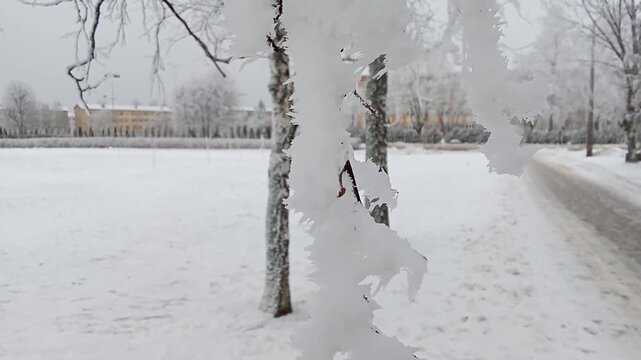 Heavy Snowfall in Winter Park with Snowy Trees and Path.

