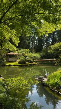 A steady shot from Nitobe Garden with a gazebo and a bridge in frame