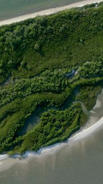 Florian&oacute;polis, Daniela Beach. Aerial View of Tropical Coastline. Establishing Shot. Santa Catarina, Brazil.
