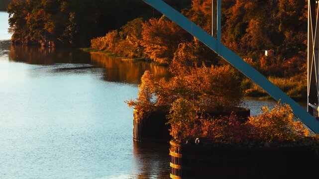 Autumn trees grow around bridge piers beside calm river water in Ozark, Arkansas, aerial medium orbit around protection barriers, tilt upward along curved metal supports