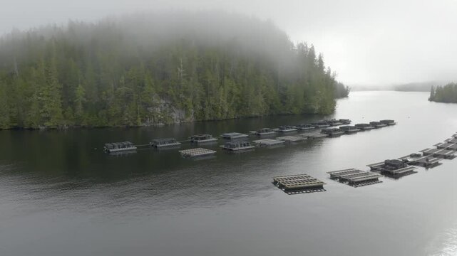 Drone shot of Oyster Farm on a misty west coast morning