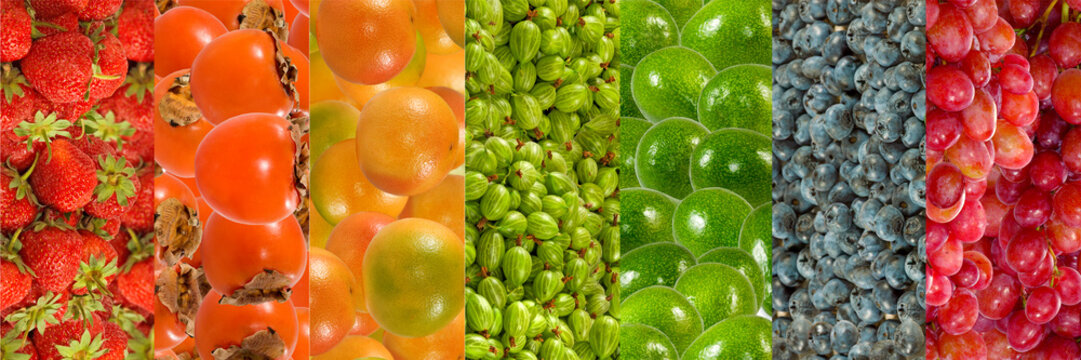 Different types of fruits arranged side by side showing their colors and textures