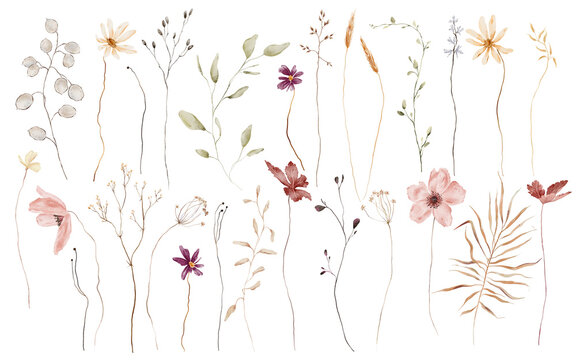 Hand-painted watercolor botanical clipart set of twenty-three isolated elements including lunaria seed pods, cosmos, anemones, baby's breath, wheat, palm leaf, wildflowers, grasses on white background