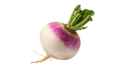 Fresh purple top turnip with green stem isolated on transparent background for agricultural produce concepts. © Pendleton-png