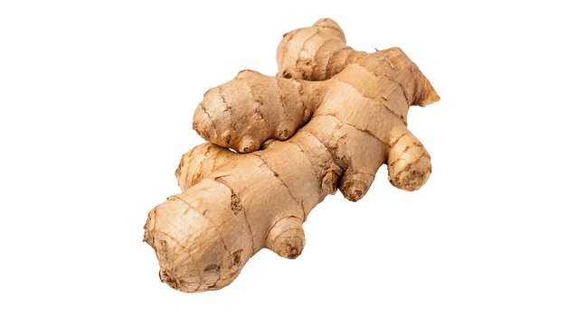Fresh raw ginger root with detailed texture isolated on transparent background for healthy cooking and seasoning.