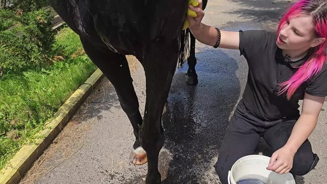Horse bathing process at a local farm during a sunny afternoon