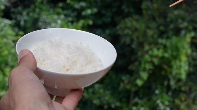 茶碗から炊き立て"ごはん"を箸で摘み上げる(箸上げ)4Kスローモーション動画