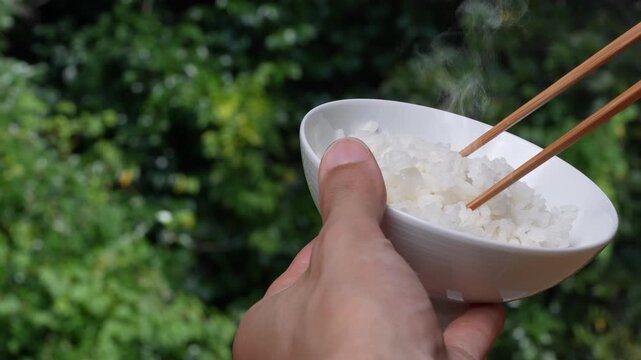 茶碗から炊き立て"ごはん"を箸で摘み上げる(箸上げ)4Kスローモーション動画