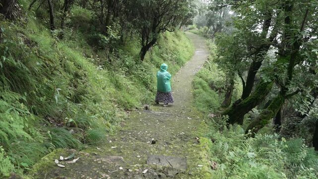 Lone Hiker in Rain Poncho Walking Away Along Mossy Mountain Forest Trail