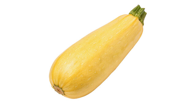 Fresh yellow zucchini squash raw whole vegetable isolated on transparent background for agricultural organic produce illustrations.