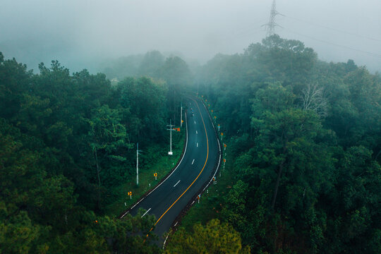 Scenic road trip through a lush green tropical rainforest covered in morning mist, representing sustainable eco-travel and nature exploration.