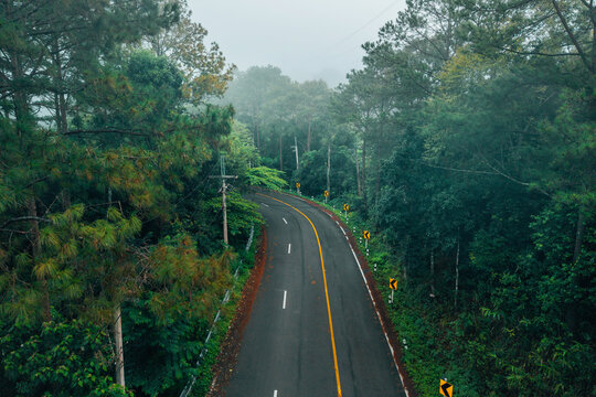 Atmospheric view of a winding road with yellow warning signs cutting through a dense misty pine forest on the scenic Chiang Mai to Pai route in Northern Thailand.