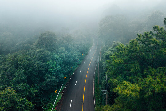 Atmospheric view of a winding road with yellow warning signs cutting through a dense misty pine forest on the scenic Chiang Mai to Pai route in Northern Thailand.