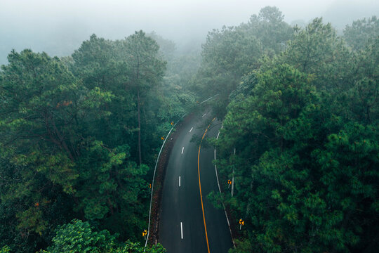 Atmospheric view of a winding road with yellow warning signs cutting through a dense misty pine forest on the scenic Chiang Mai to Pai route in Northern Thailand.