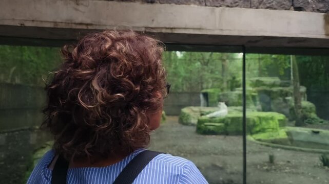 An elderly Latina woman captures a moment of a Bengal tiger through the glass enclosure during her visit to Chapultepec Zoo. This close-up shot shows her from behind as she uses her phone to take a ph