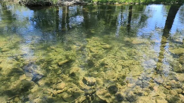 Video of clear mountain stream. Water running over stones on bottom. Natural background. Top down view.