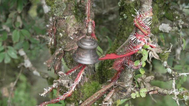 Temple Bell and Red Sacred Prayer Threads Tied to Mossy Tree in India