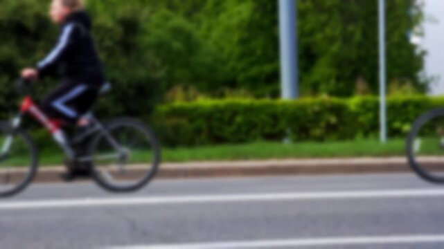 Several people engaged in cycling and rollerblading activities along a tree-lined road during daytime, showcasing outdoor recreation and active lifestyle.