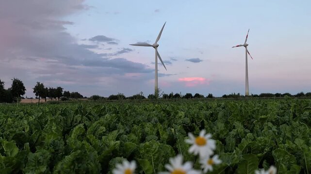 wind turbine in sunset sky, Germany