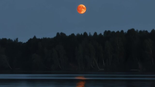 Orange full moon high in dark twilight sky over silhouette of dense forest trees bordering calm lake water surface reflecting intense lunar glow at dusk