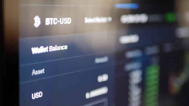 Crypto currency trading platform interface showing bitcoin wallet balance on computer screen.