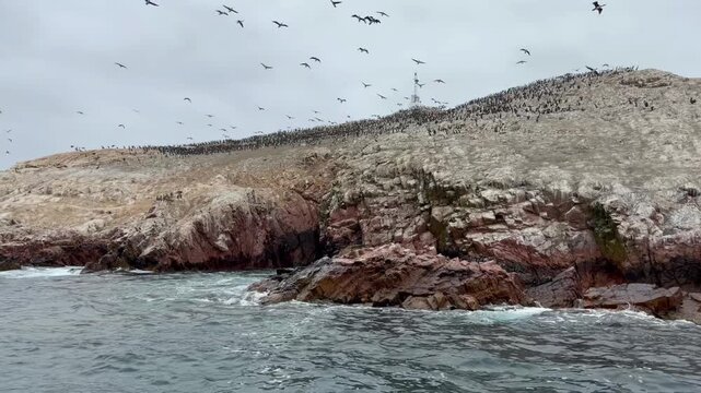 Thousands of Seabirds Flying Over Rocky Ballestas Islands off the Coast of Paracas, Peru