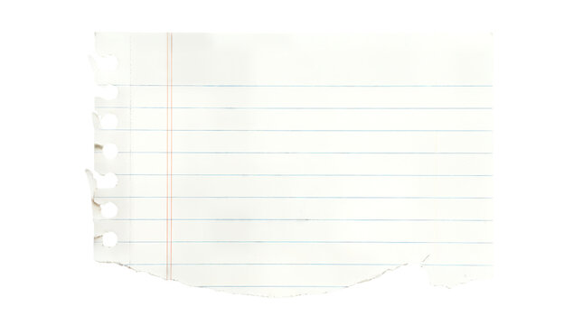 Torn notebook paper scrap, ripped lined page with spiral holes, white textured paper piece for notes and reminders