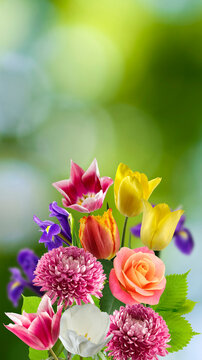 Colorful bouquet of flowers arranged in a vase with greenery in the background on a sunny day
