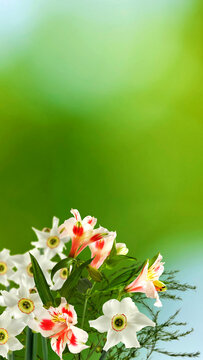Bright flowers arranged in a simple display with a soft green background