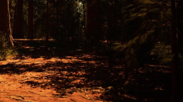 Sunlight streams through the trees in a forest. The ground is covered with dry leaves and dirt. Shadows are present from the tall trees and underbrush.