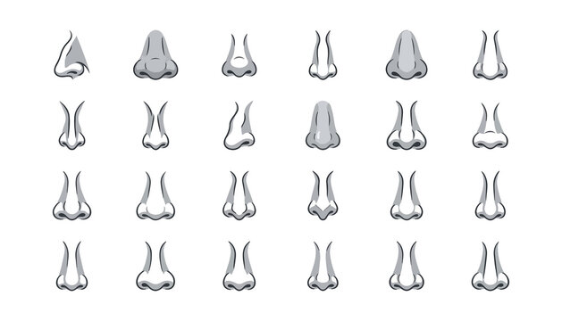 Human Nose Shapes Vector Set for Medical or Character Design Illustrations. Various Anatomical Profiles Collection.