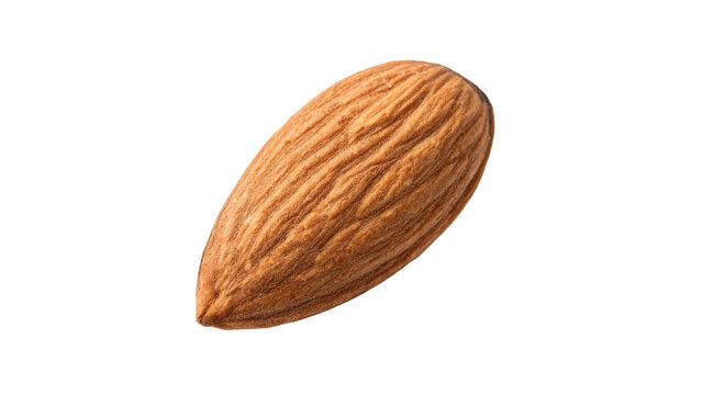 Single raw almond nut seed detailed texture isolated on transparent background for organic healthy nutrition packaging.