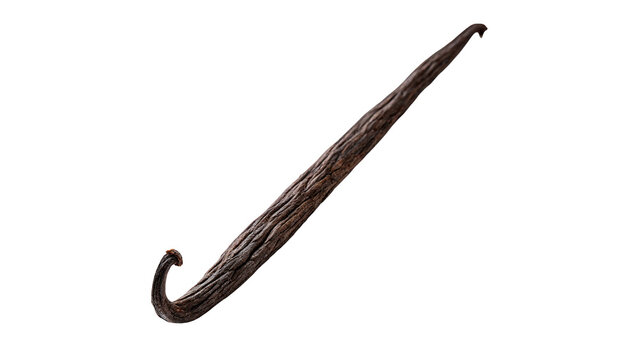 Single aromatic dry vanilla bean pod flavor ingredient isolated on transparent background for sweet pastry baking designs.