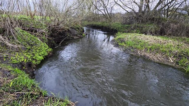 Narrow winding stream flowing through rural landscape with vibrant green grass and dormant trees on banks, clear water surface reflecting sky, natural environment of small river