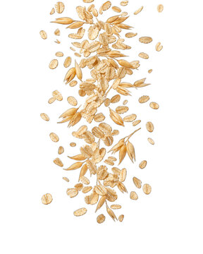 Oat flakes and golden wheat grains falling isolated transparent background for healthy breakfast cereal muesli porridge organic food product packaging design.