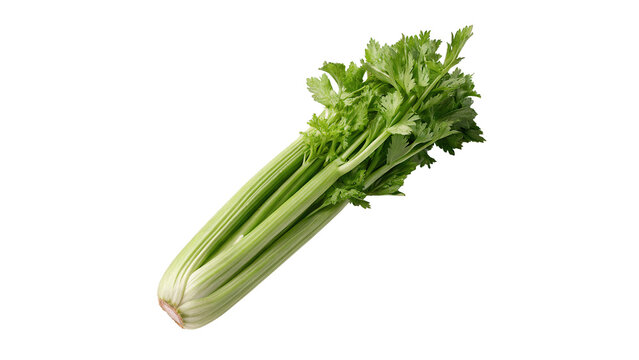 Fresh green celery stalks bunch raw vegetable isolated on transparent background for healthy organic salad recipes.