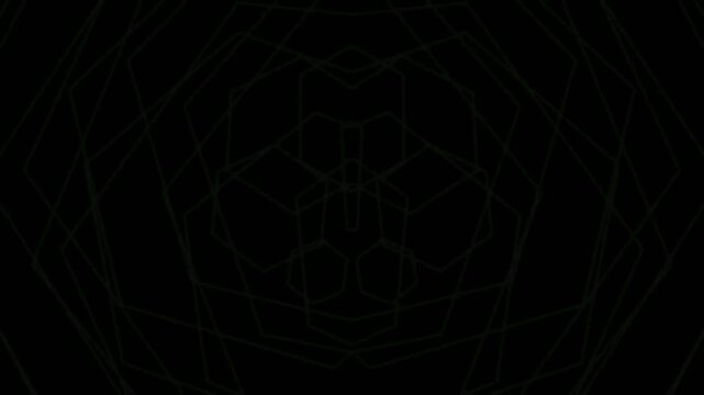 Luxury gold geometric hexagon wireframe mandala moving background loop