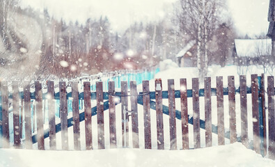 Naklejka premium Winter forest landscape. Tall trees under snow cover. January frosty day in the park.