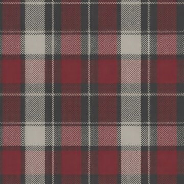 A close-up of a red and black plaid fabric texture