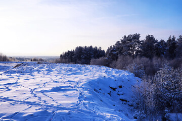 Naklejka premium The forest is covered with snow. Frost and snowfall in the park. Winter snowy frosty landscape.