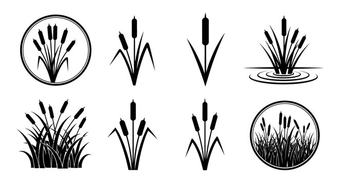 Cattail silhouette icons set, black bulrush plant vector illustrations, marsh reed and swamp grass symbols for nature logos